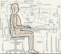 Physical Ergonomics enters design